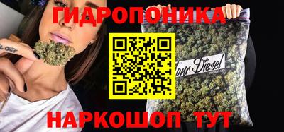 ешки Краснознаменск