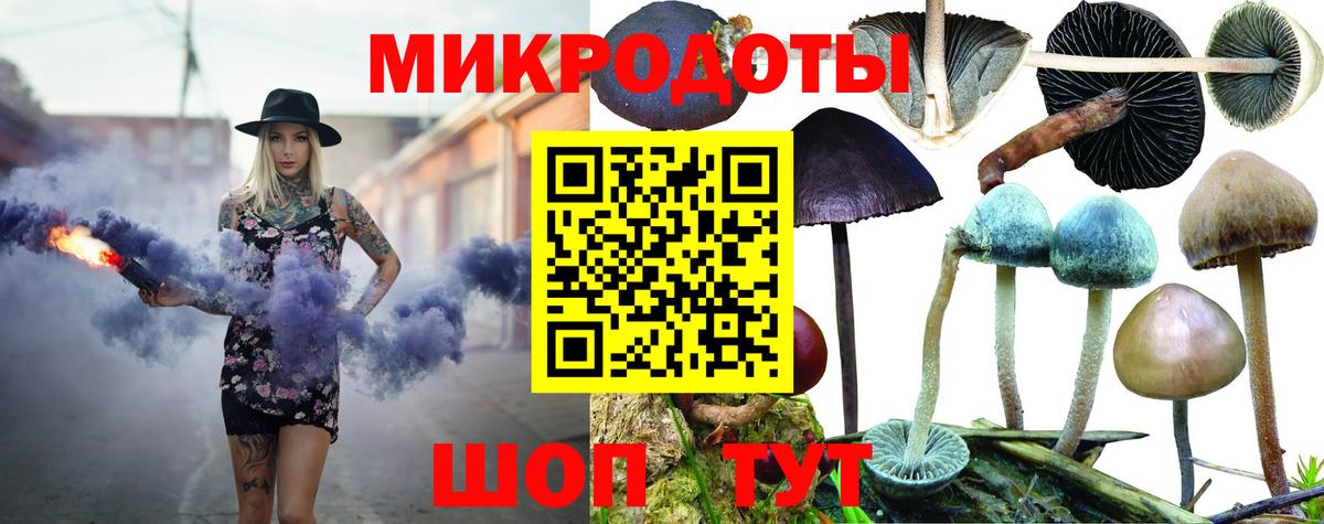 Псилоцибиновые грибы мицелий Котлас