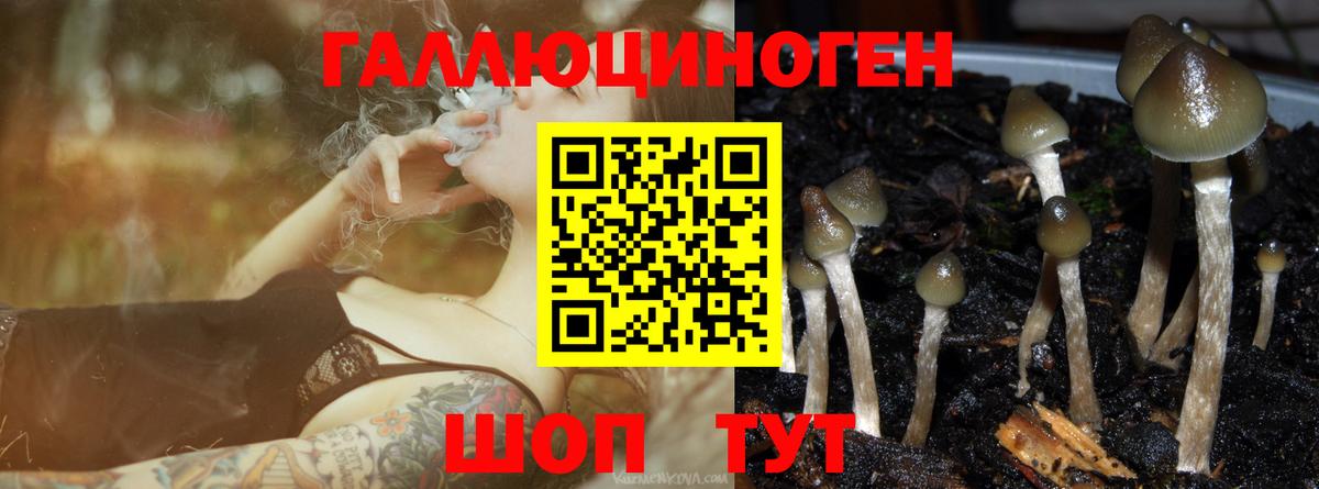 Котлас  Галлюциногенные грибы мицелий  Псилоцибиновые грибы Magic Shrooms  Вход с VPN 