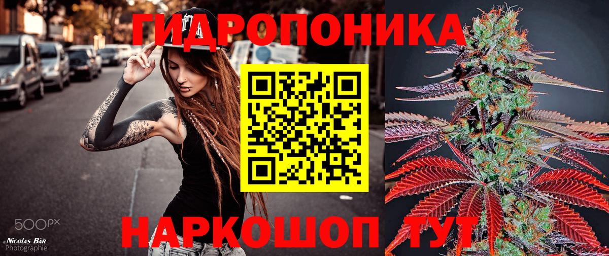 Котлас  Канабис ГИДРОПОН  Конопля ГИДРОПОН  Марихуана тримм  Вход с VPN 